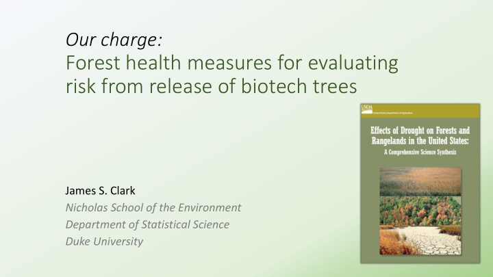 risk from release of biotech trees