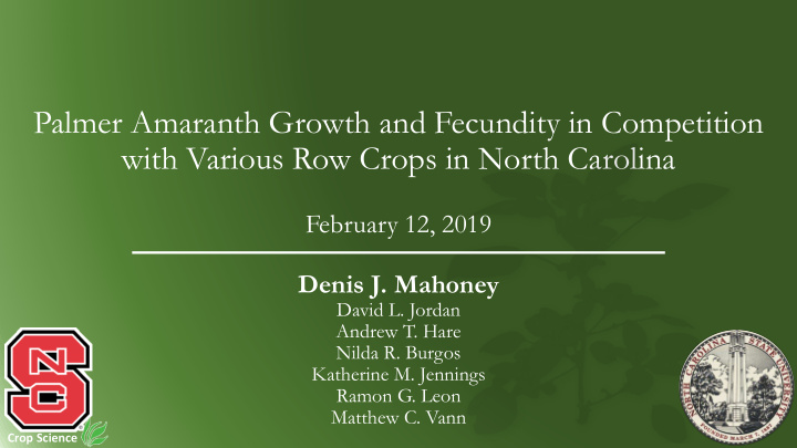 palmer amaranth growth and fecundity in competition with