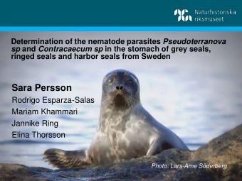 Sara Persson  Rodrigo Esparza-Salas  Mariam Khammari  Jannike Ring  Elina Thorsson  Photo: