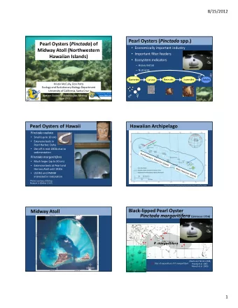 Pearl Oysters ( Pinctada spp.) Pearl Oysters ( Pinctada ) of  Economically important industry
