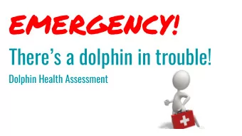 EMERGENCY!  Theres a dolphin in trouble!  Dolphin Health Assessment  DRAW  BLOOD FOR  CHEMISTRY