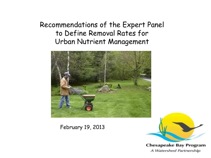february 19 2013 1 the expert panel panelist affiliation