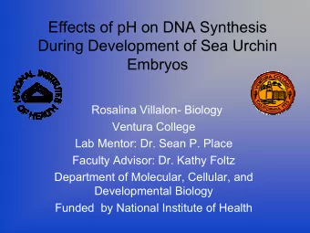 Effects of pH on DNA Synthesis  During Development of Sea Urchin  Embryos  Rosalina Villalon-