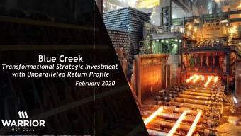 Blue Creek  Transformational Strategic Investment  with Unparalleled Return Profile  February 2020