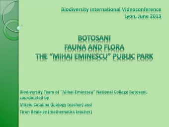 ANA  MARINA  DIANA CTLINA  SABINA  CLAUDIA    The ecosystem of our park Mosses  Plants