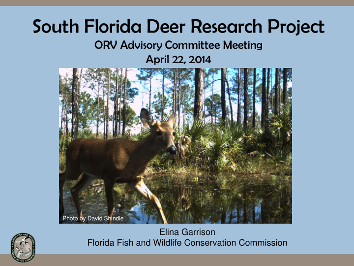 south florida deer research project