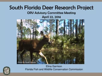 South Florida Deer Research Project  ORV Advisory Committee Meeting  April 22, 2014  Photo by David