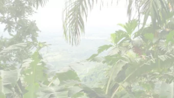 Operacin de Agua Potable  Quebrada Caracol, Panama  Clean Water Consulting  Sarah Stoolmiller