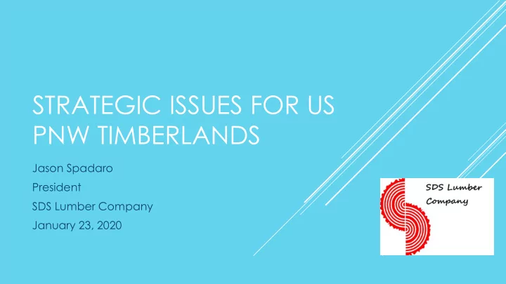 strategic issues for us pnw timberlands