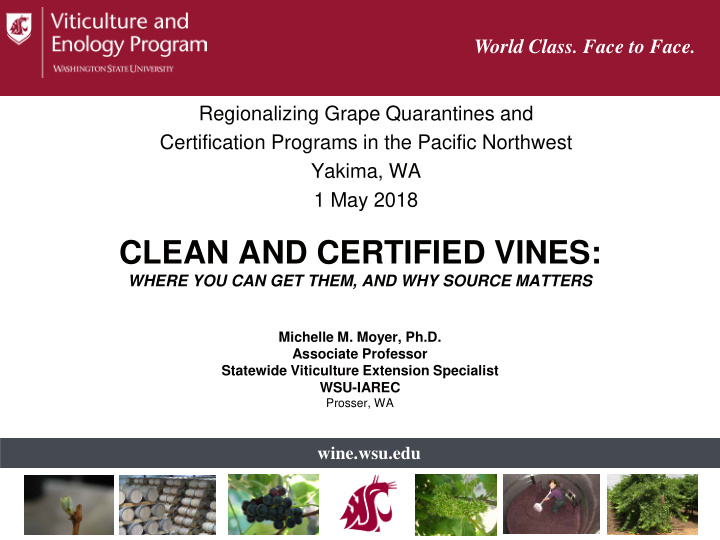 clean and certified vines