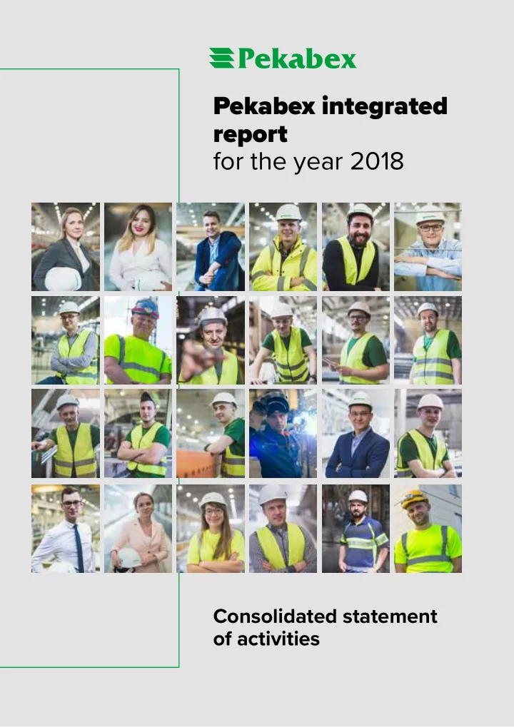 pekabex integrated report for the year 2018