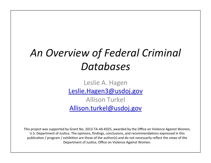 an overview of federal criminal databases
