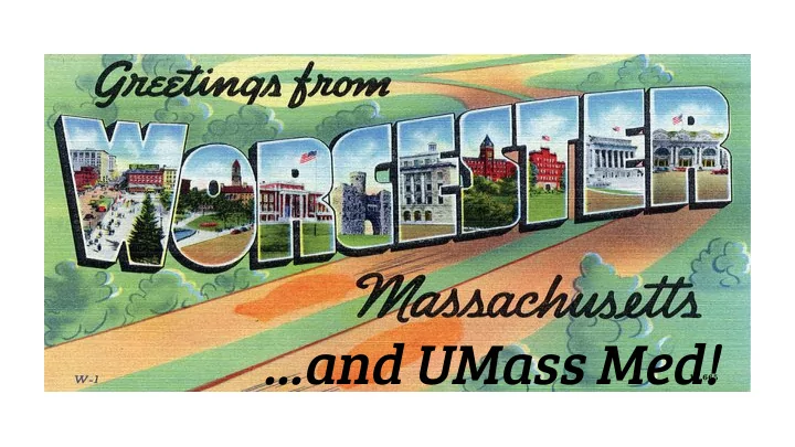 and umass med student perspectives