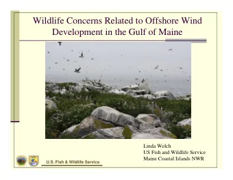 Wildlife Concerns Related to Offshore Wind  Development in the Gulf of Maine  Linda Welch  US Fish