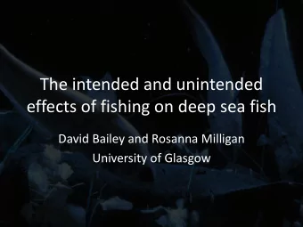 effects of fishing on deep sea fish  David Bailey and Rosanna Milligan  University of Glasgow  Deep