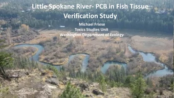 Little Spokane River- PCB in Fish Tissue  Verification Study  Michael Friese  Toxics Studies Unit