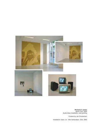 Richard D. James Aphex Twin , 2000  Audio/video installation, wall painting  Curated by Jan