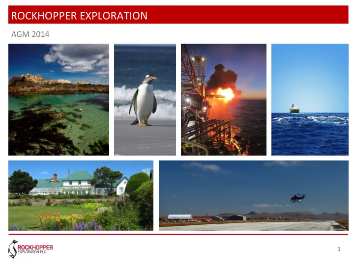 rockhopper exploration
