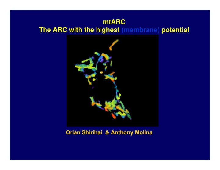 mtarc the arc with the highest membrane potential