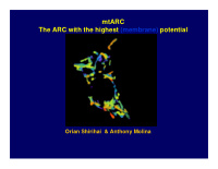 mtarc the arc with the highest membrane potential