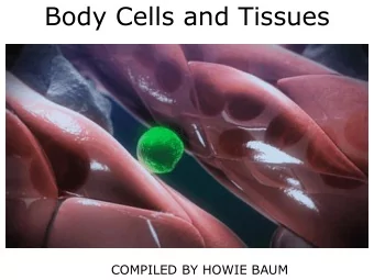 Body Cells and Tissues  COMPILED BY HOWIE BAUM  INTRODUCTION TO THE CELL CELLS are often called the