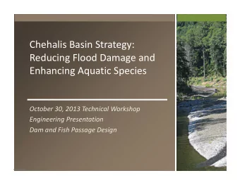 Chehalis Basin Strategy: Reducing Flood Damage and Enhancing Aquatic Species October 30, 2013