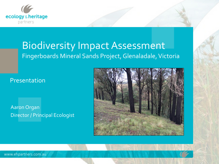biodiversity impact assessment