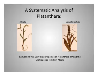 ASystematicAnalysisof  Platanthera:   dilatata