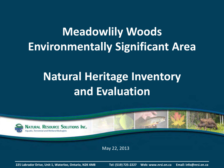 meadowlily woods