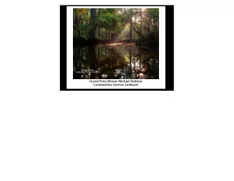 Grand Prize Winner Michael Dubiner  Loxahatchee Sunrise Sunbeam  Professional Fauna 1 st