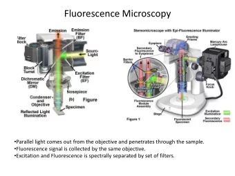 Fluorescence Microscopy  Parallel light comes out from the objective and penetrates through the