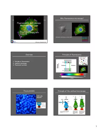 Fluorescence Microscopy:  Machines and Dyes  Gert-Jan Kremers  Erasmus Optical Imaging Centre