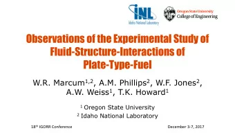 Observations of the Experimental Study of  Fluid-Structure-Interactions of  Plate-Type-Fuel W.R.