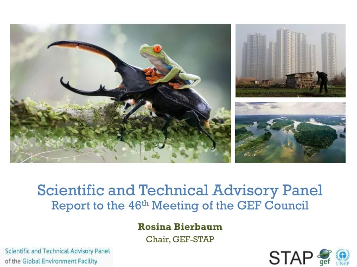 scientific and technical advisory panel