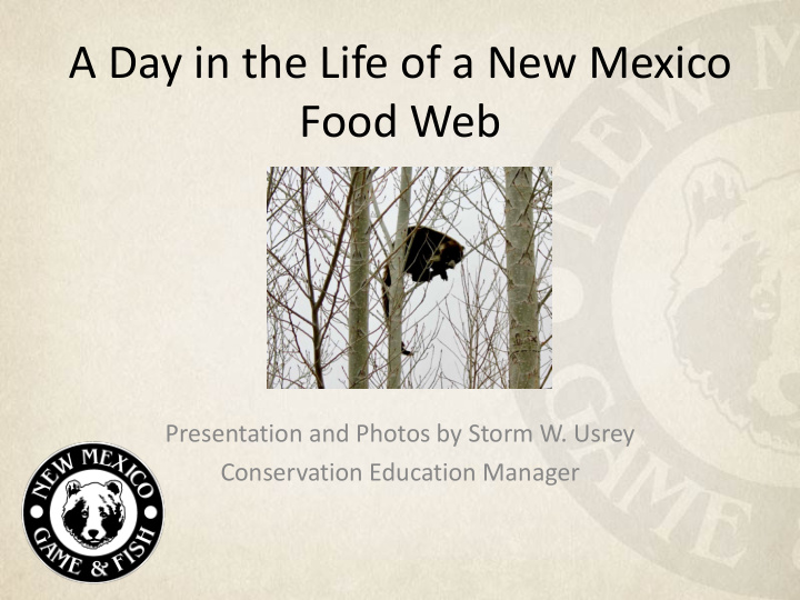 a day in the life of a new mexico food web