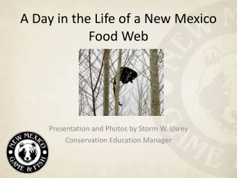 A Day in the Life of a New Mexico  Food Web  Presentation and Photos by Storm W. Usrey