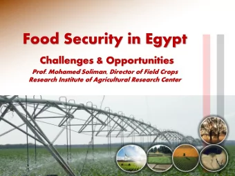 Food Security in Egypt  Challenges &amp; Opportunities  Prof. Mohamed Soliman, Director of Field