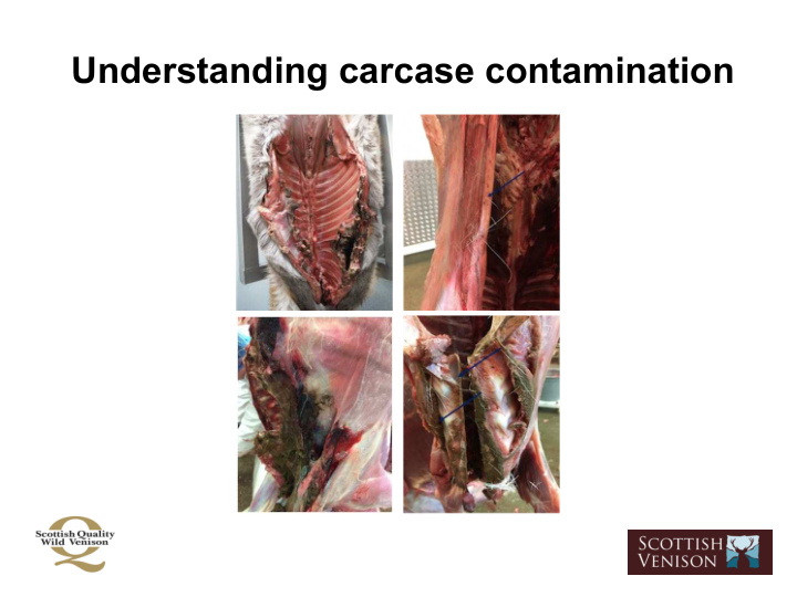 understanding carcase contamination gross or minor