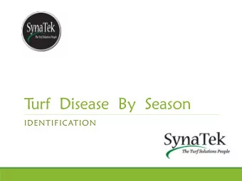 T  urf  Disease  By  Season  IDENTIFICATION  Causes  ses  Of  T  urfgras  grass Dis  iseas  ease  e