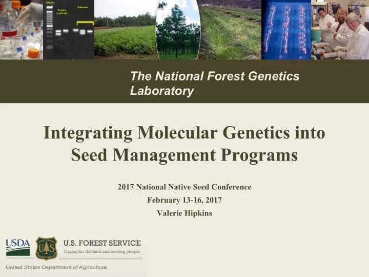 integrating molecular genetics into seed management