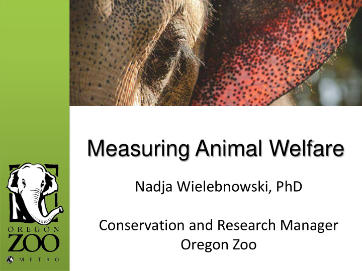 measuring animal welfare