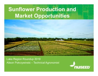 Sunflower Production and  Market Opportunities  Lake Region Roundup 2019  Alison Pokrzywinski