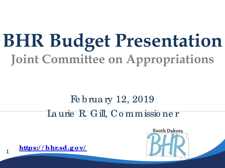 bhr budget presentation