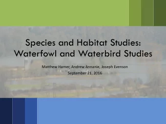 Species and Habitat Studies:  Waterfowl and Waterbird Studies  Matthew Hamer, Andrew Annanie,