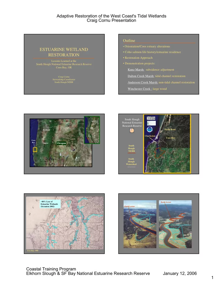estuarine wetland