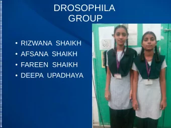 DROSOPHILA  GROUP  RIZWANA  SHAIKH  AFSANA  SHAIKH  FAREEN  SHAIKH  DEEPA  UPADHAYA