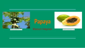 Papaya  Mason Hepner  thisismyhappiness.com  healthimpactnews.com  Crop History  Native to Central