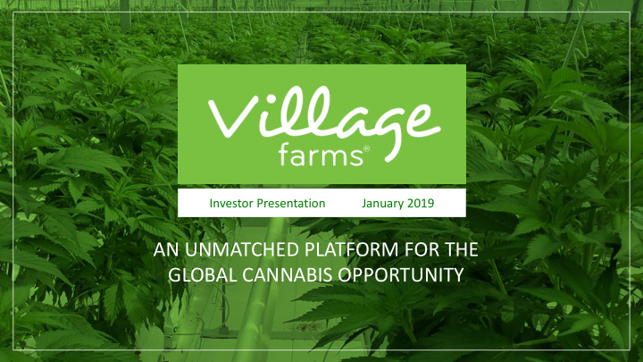 global cannabis opportunity