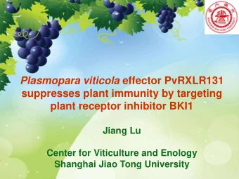 Jiang Lu  Center for Viticulture and Enology  Shanghai Jiao Tong University  Grapevine Breeding and