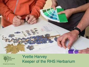 Yvette Harvey  Keeper of the RHS Herbarium  Welcome to  WSY  specimens:  83,000  plant portraits: